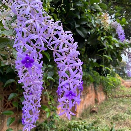 ホテル Mama Pierina Restaurant And Annex Morogoro エクステリア 写真